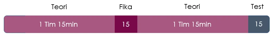 schema för en utbildning till yrkesklättrare.